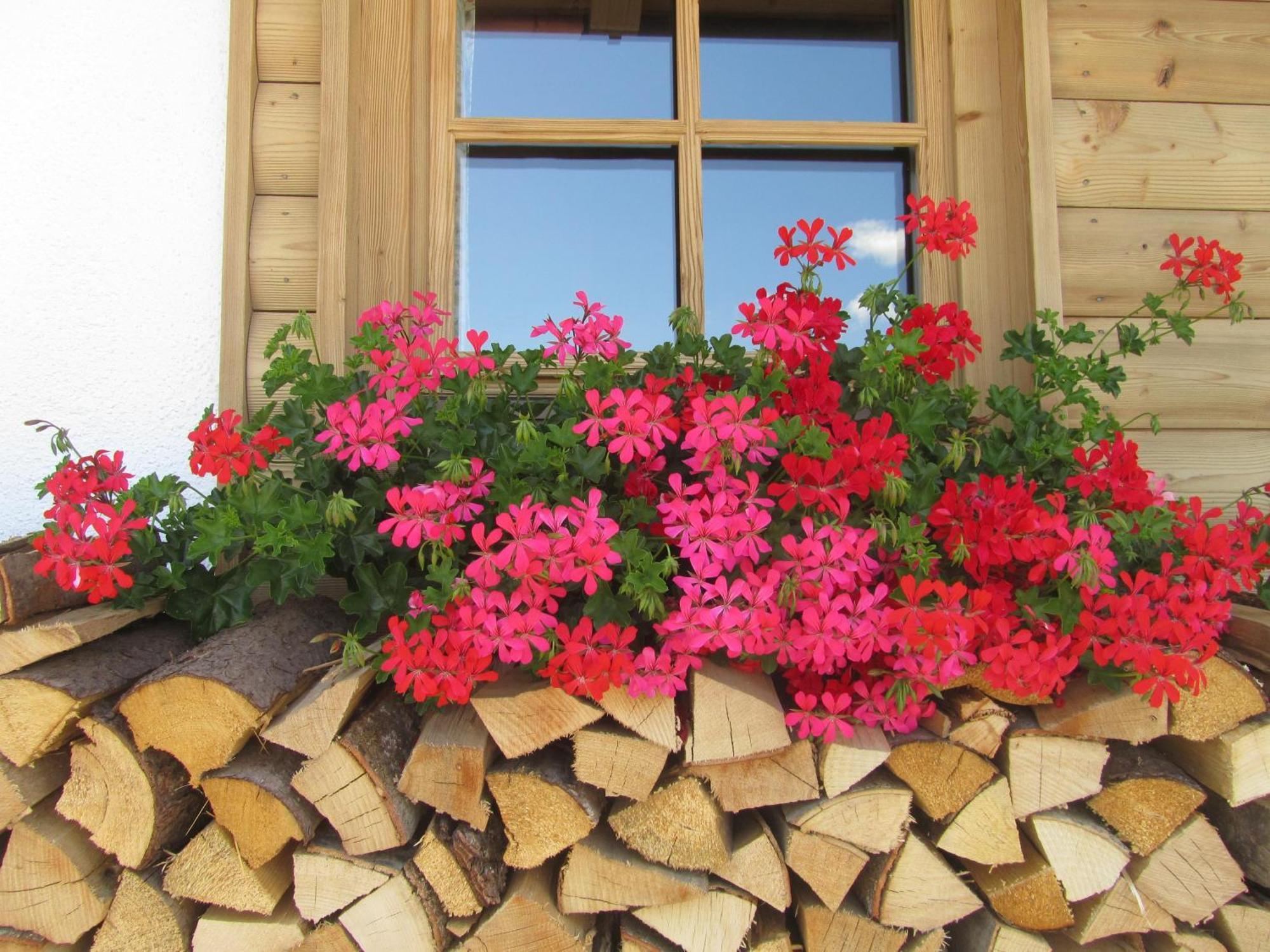 Hotel Garni Bavaria المو المظهر الخارجي الصورة